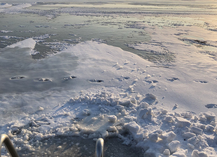 Für die ganz mutigen...